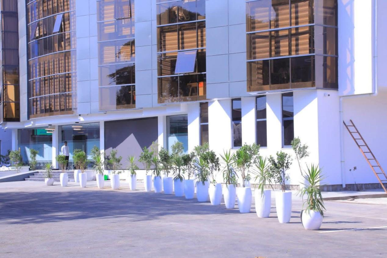 picture ii (one stop)