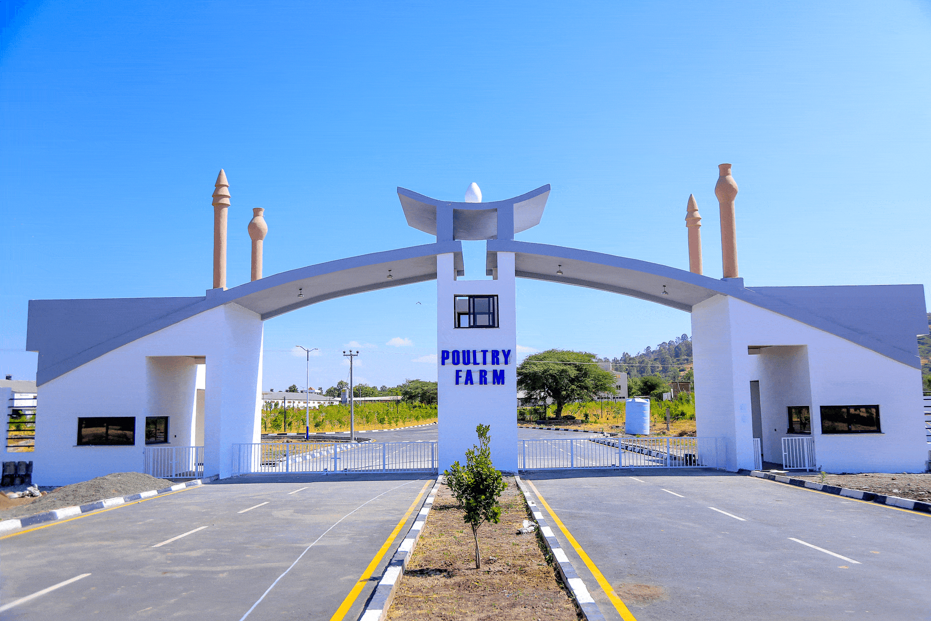 Home poultry farm gif